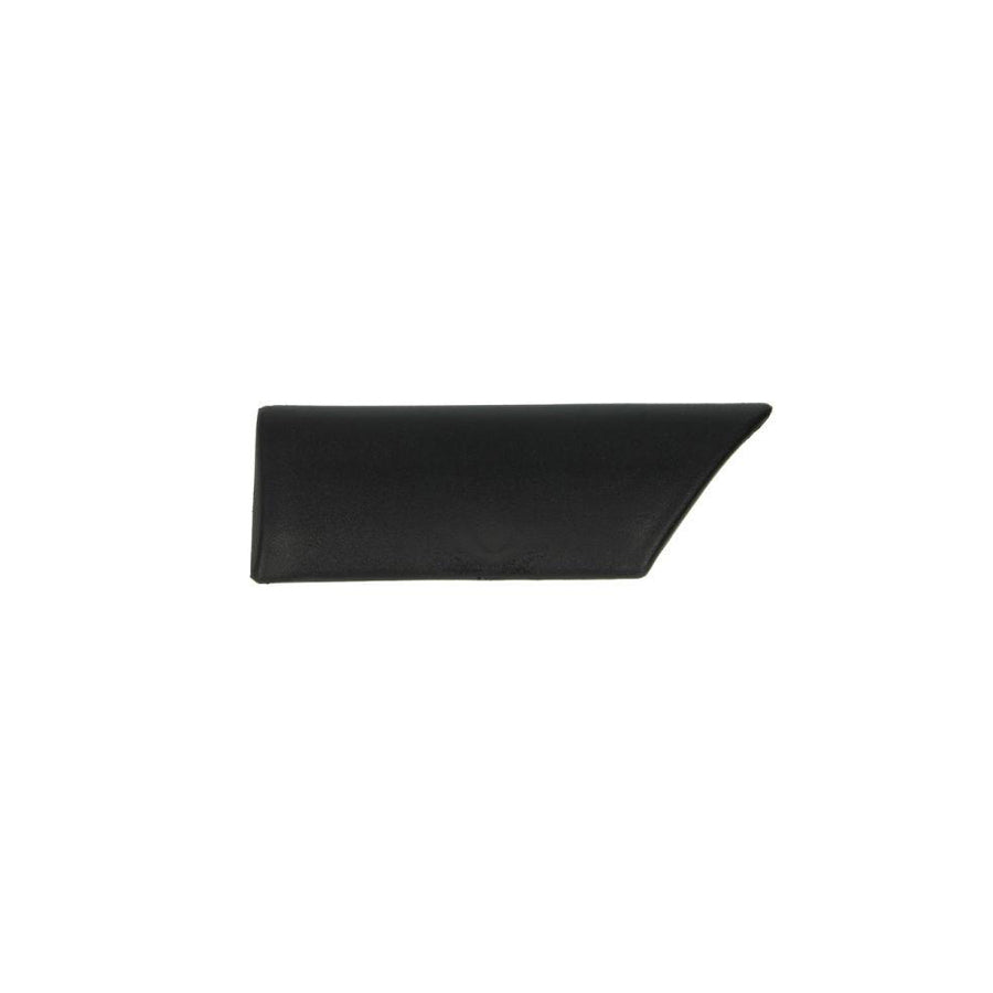 Blic 5703-04-2530472P Trim / Protective Strip, Mudguard for Ford Escort