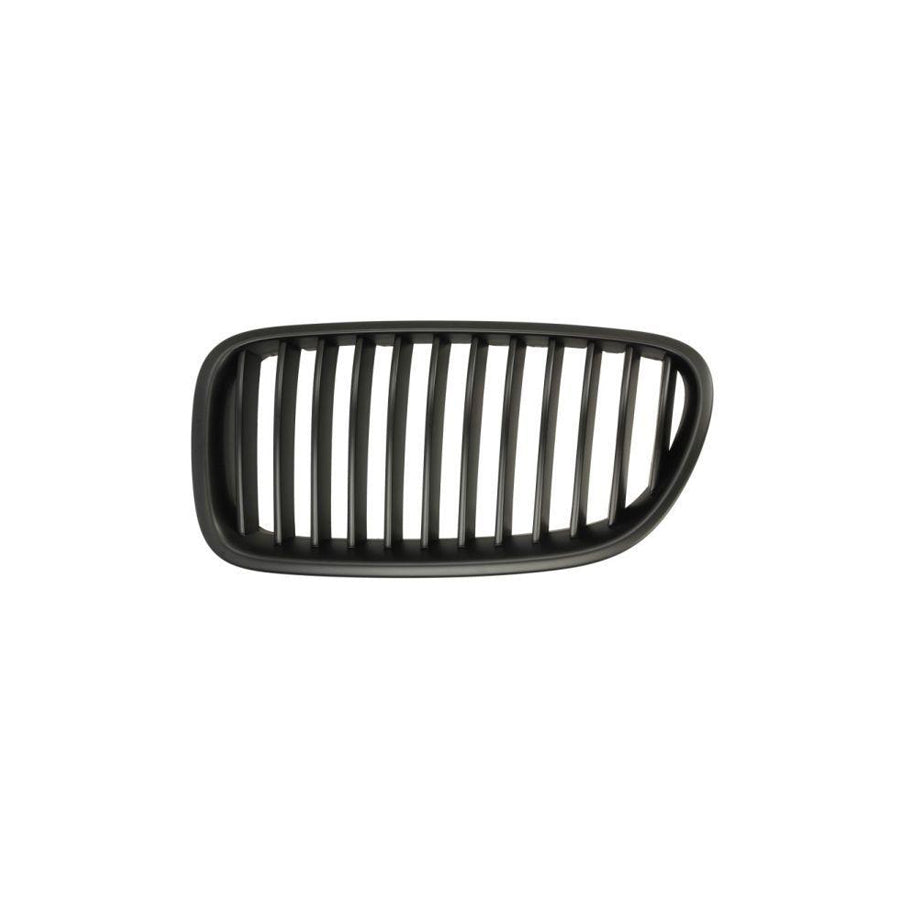 Blic 6502-07-0067993Bp Radiator Grille for BMW 5 Series