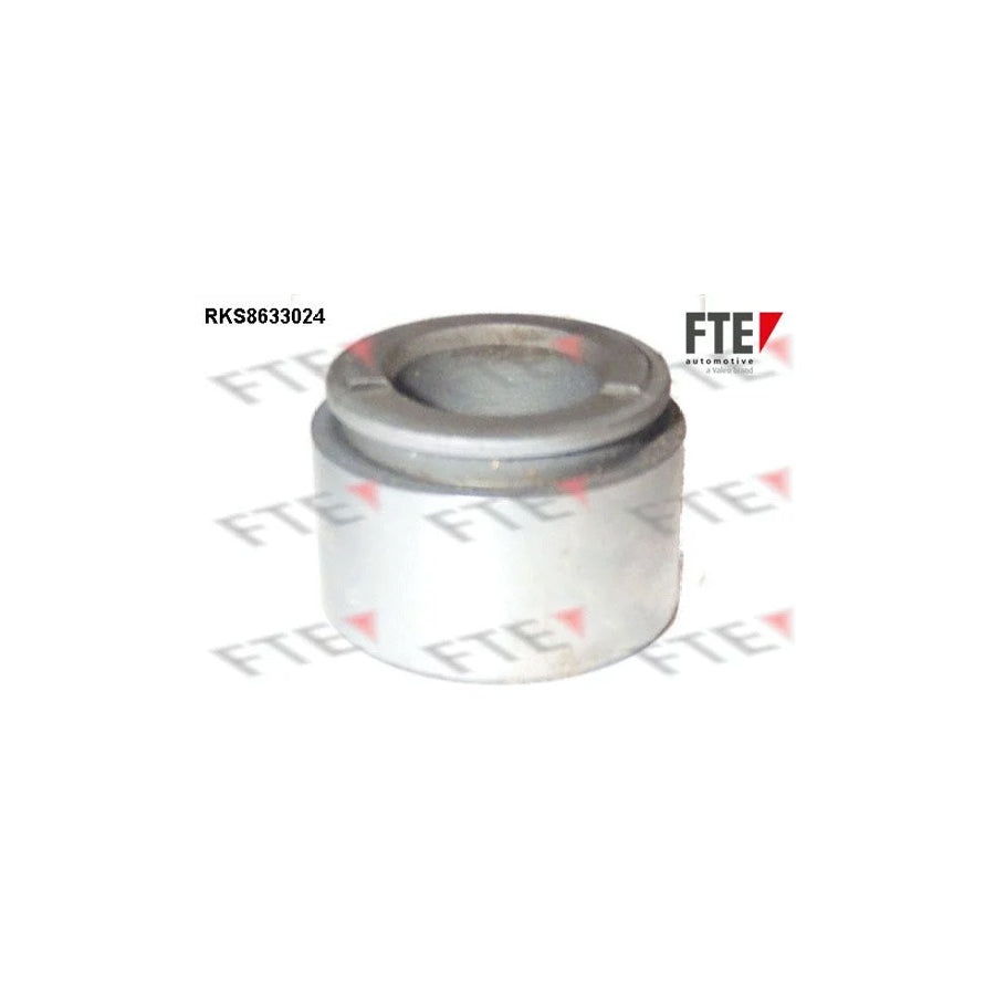 FTE Rks8633024 Piston, Brake Caliper