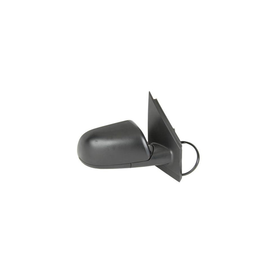 Blic 5402-04-1121119P Wing Mirror for VW Polo