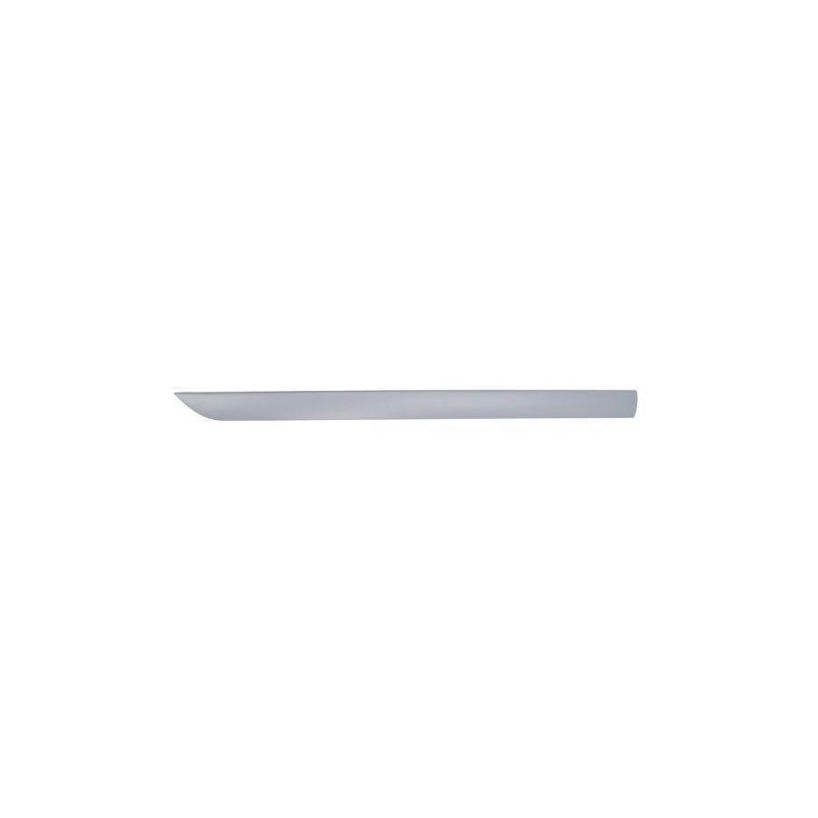Blic 5703-04-2532575P Door Molding for Ford Focus