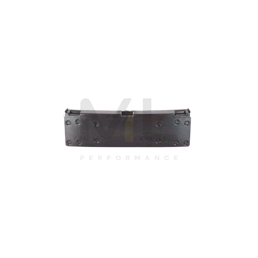 BLIC 5513-00-00629200P Number plate holder for BMW 3 Series Front, Black, frameless