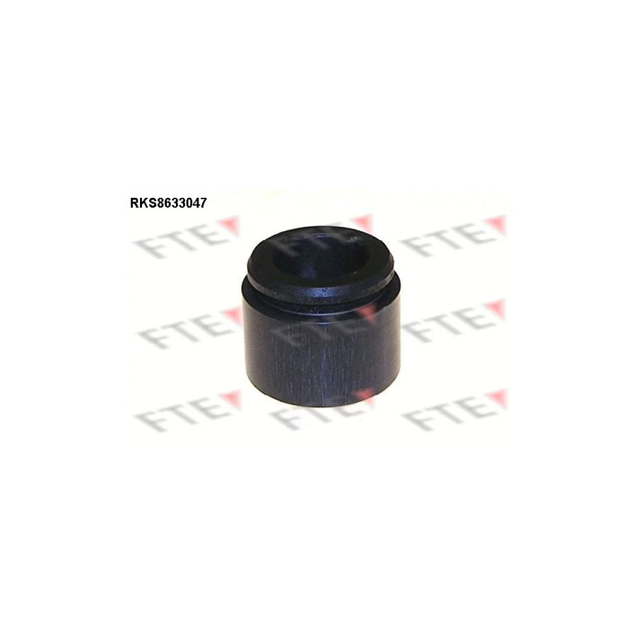 FTE Rks8633047 Piston, Brake Caliper