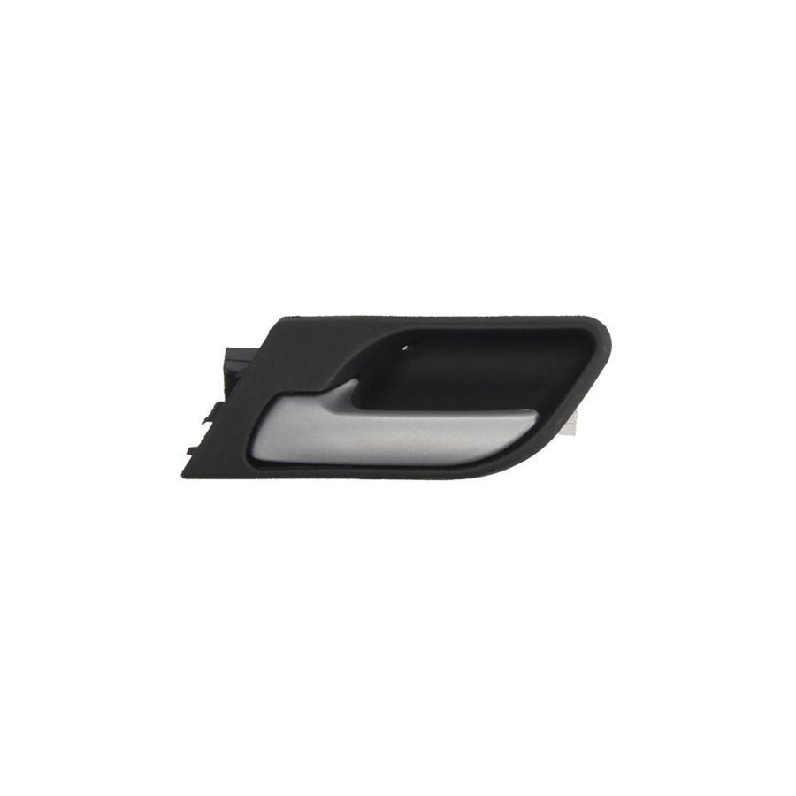 Blic 6010-05-015409Tp Door Handle for BMW X5 (E53)