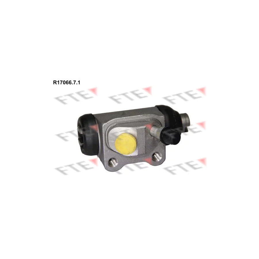 FTE R17066.7.1 Wheel Brake Cylinder