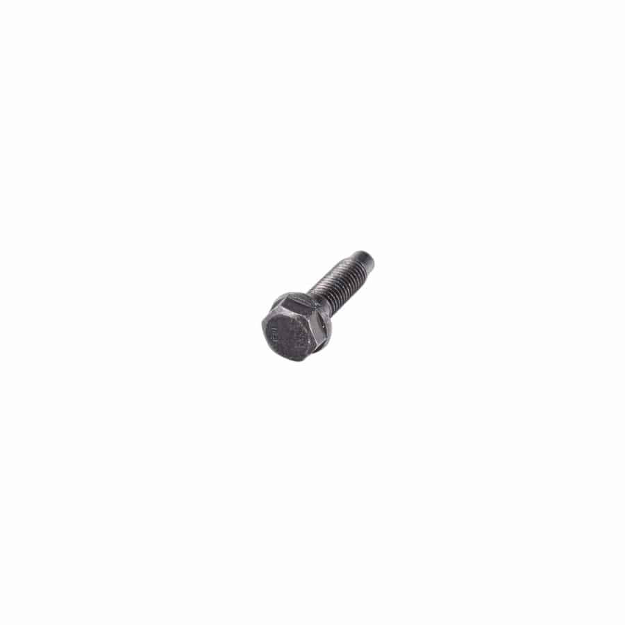 Genuine BMW 07147132411 E46 Hex Bolt M10 (Inc. 323i)
