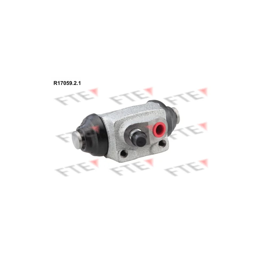 FTE R17059.2.1 Wheel Brake Cylinder