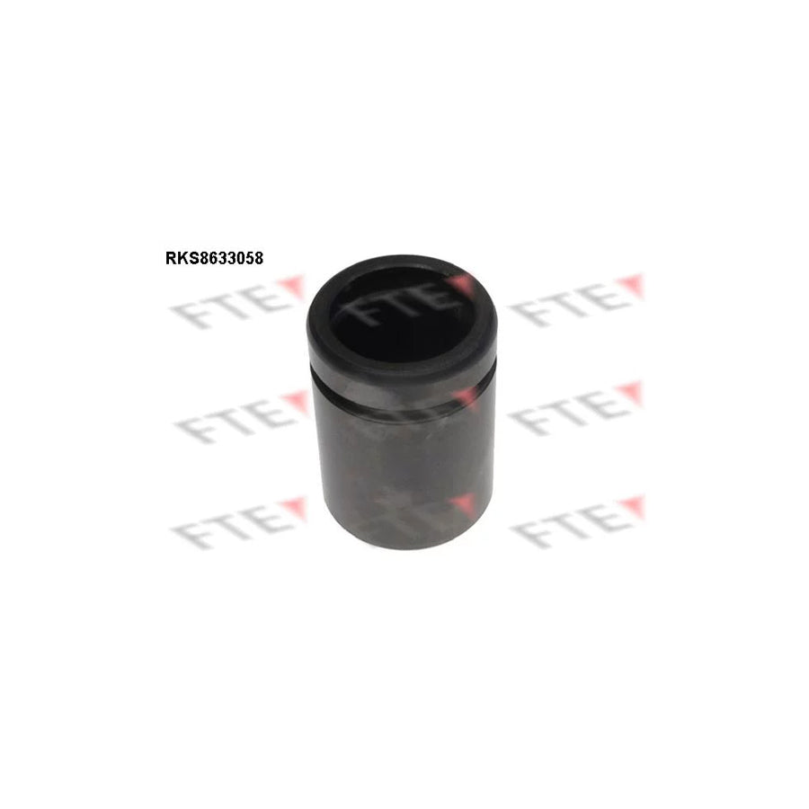 FTE Rks8633058 Piston, Brake Caliper