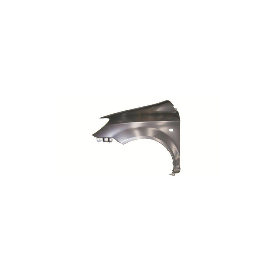 Blic 6504-04-3127313P Wing Fender for Hyundai Getz (Tb)