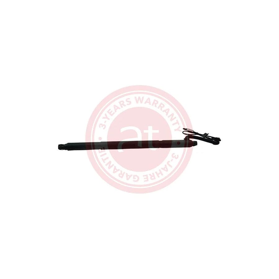 at autoteile germany At11901 Electrical Motor, Tailgate for BMW X6 (E71, E72)
