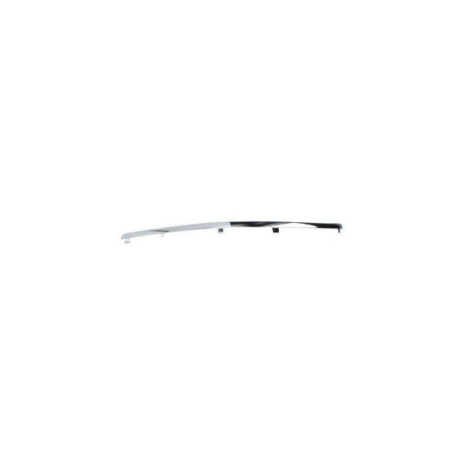Blic 5703-05-9539925P Bumper Moulding for VW Passat