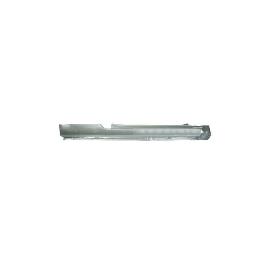 Blic 6601-01-5507801P Repair Panel For Peugeot 206