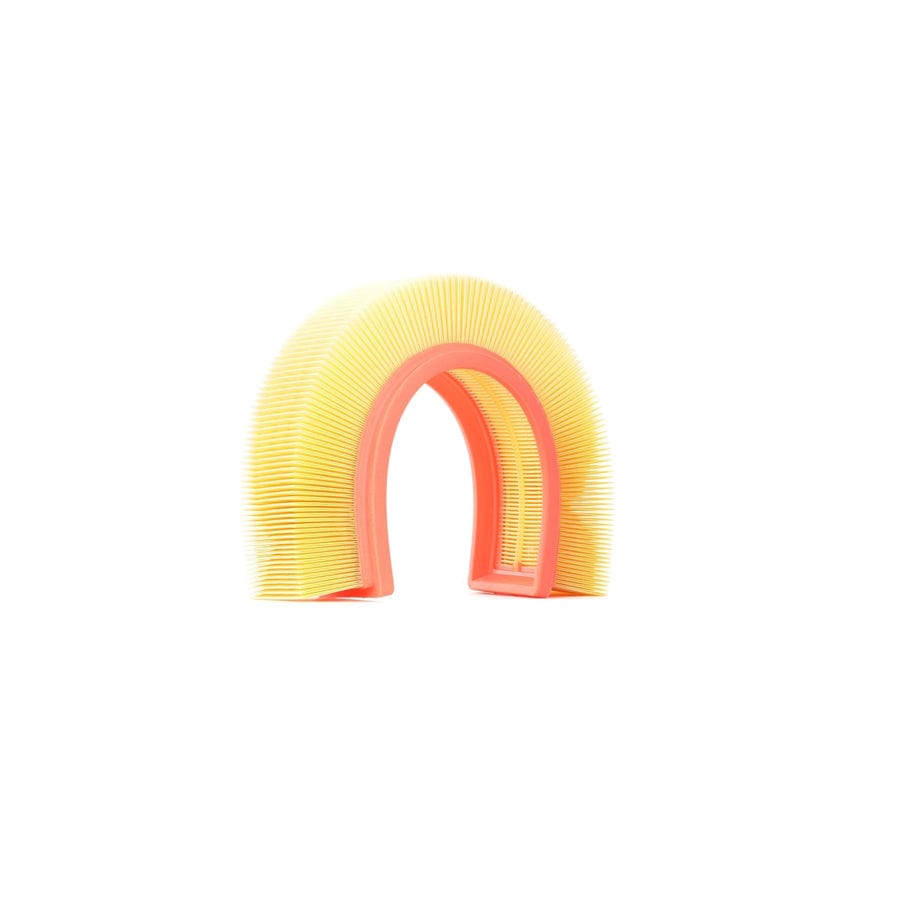 Ridex 8A0173 Air Filter