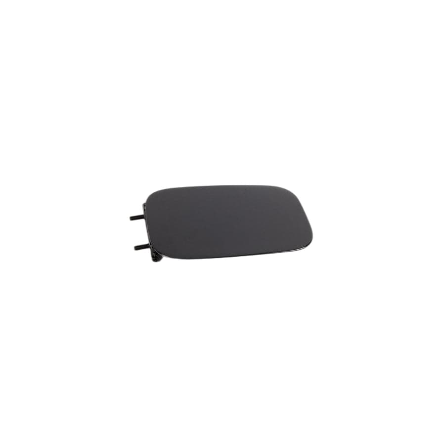 Genuine BMW 51178208246 E46 Fill-In Flap (Inc. 323i)