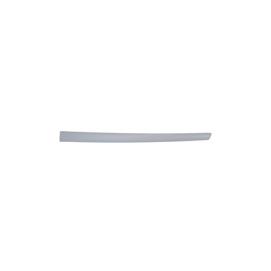 Blic 5703-04-2564576Cp Door Molding for Ford Fiesta