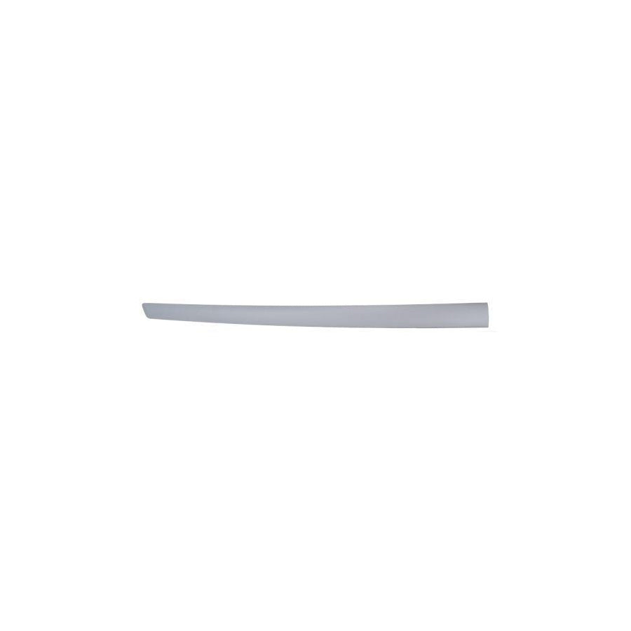 Blic 5703-04-2564575Cp Door Molding for Ford Fiesta