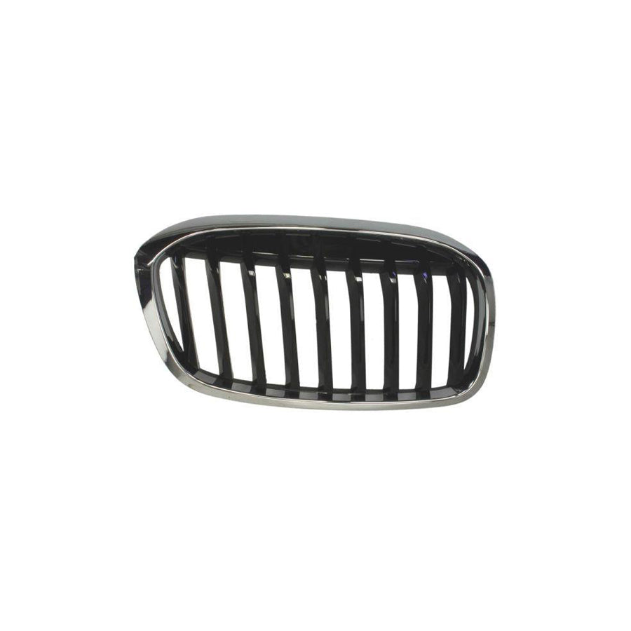 Blic 6502-07-0071992P Radiator Grille for BMW 2 Series