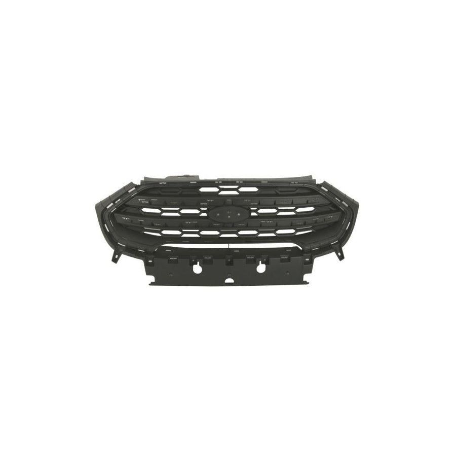 Blic 6502-07-2588995P Radiator Grille for Ford Ecosport Mk2