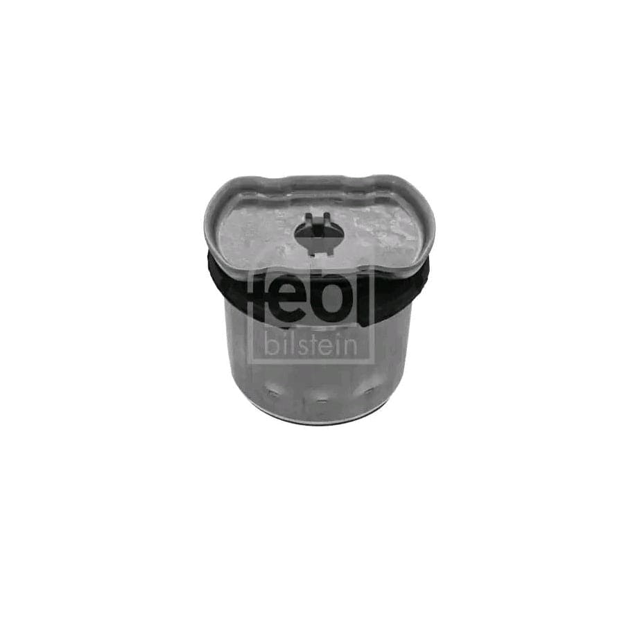 Febi Bilstein 48731 Axle Bush | ML Performance UK Car Parts