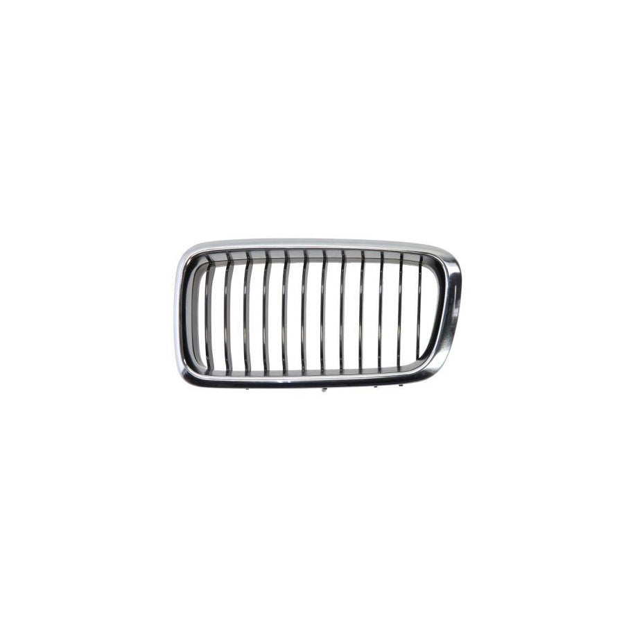 Blic 6502-07-0075995P Radiator Grille for BMW 7 (E38)