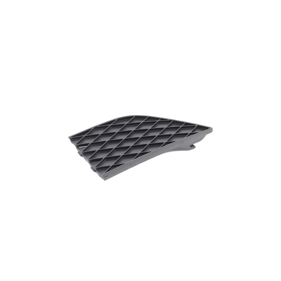 Genuine BMW 51117184692 E63 E64 Grid Lateral, Bottom Right (Inc. 635d, 650i & 630i)