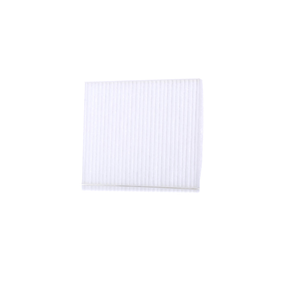 Master Sport 2026-IF-PCS-MS Pollen Filter