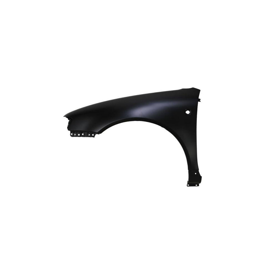 Blic 6504-04-0015311P Wing Fender for Audi A3 Hatchback (8L1)
