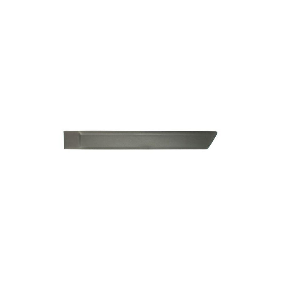 Blic 5703-04-2576573Pp Door Molding for Ford Fusion Estate (Ju2)