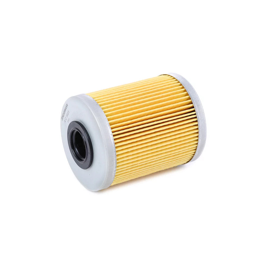 Denckermann A120023 Fuel Filter