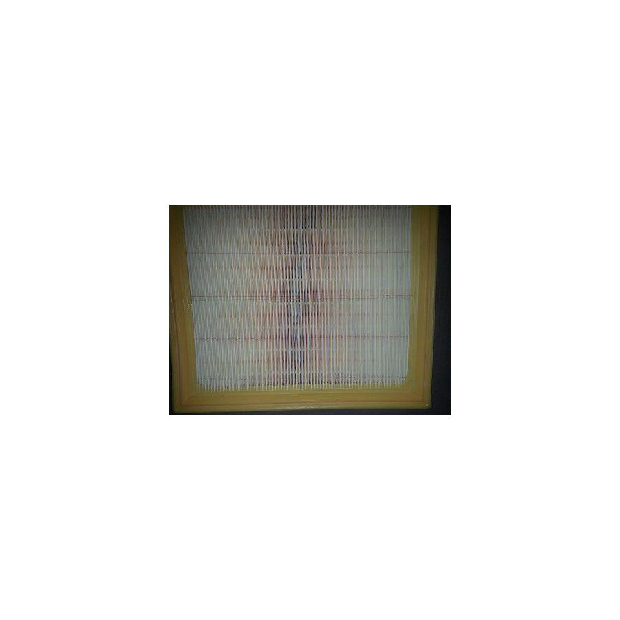 BUGIAD Bsp20856 Air Filter