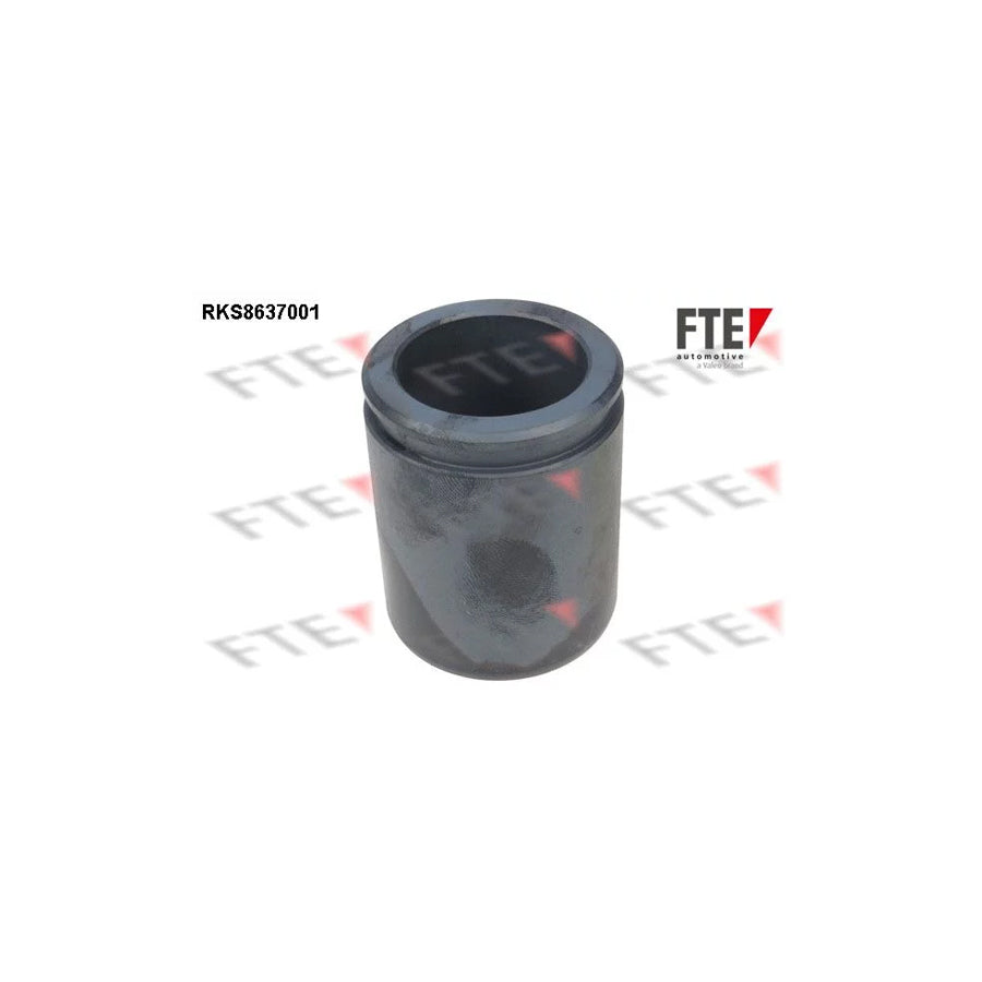FTE Rks8637001 Piston, Brake Caliper