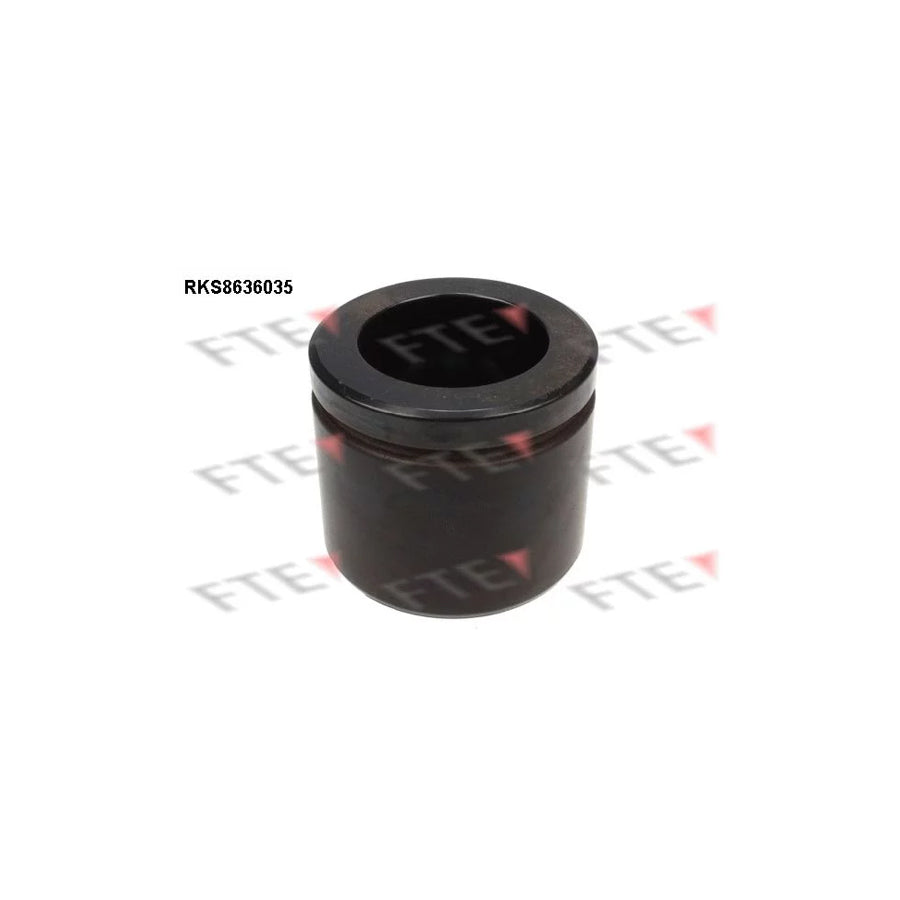 FTE Rks8636035 Piston, Brake Caliper