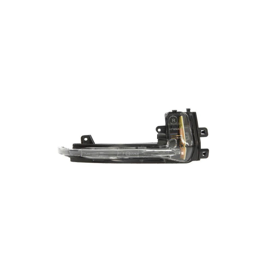 Blic 5403-25-0046106P Side Indicator