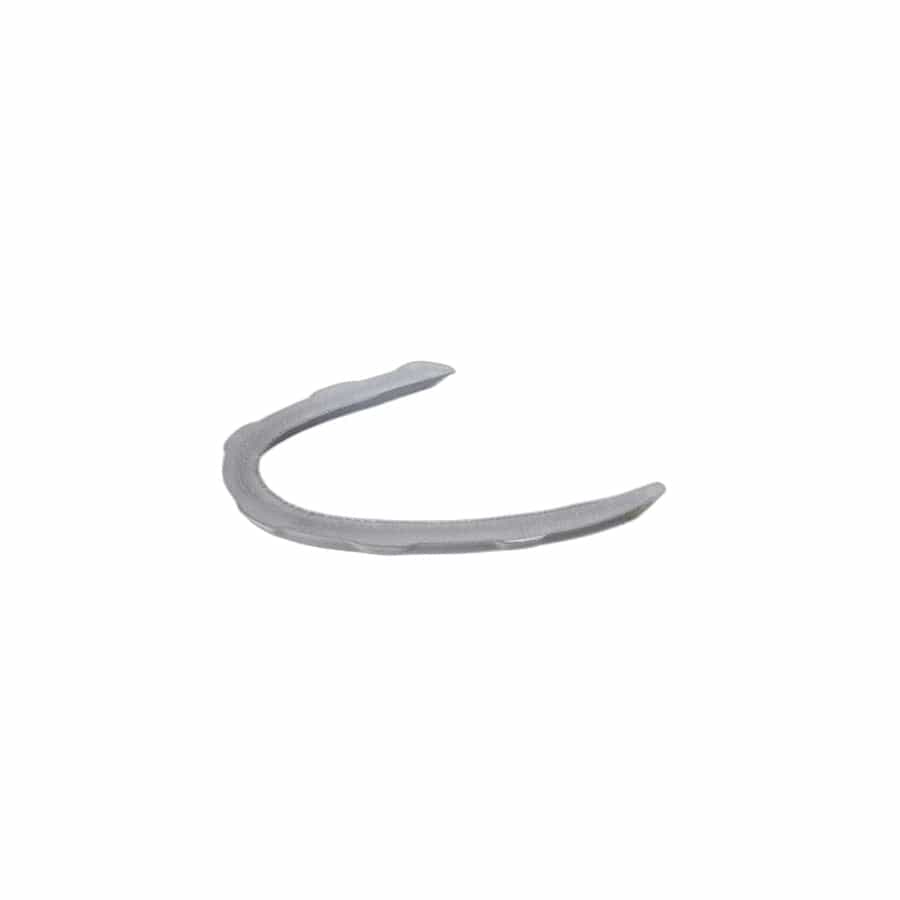 Genuine BMW 51357033809 E60 Seal, Left Side Window Closing Plate (Inc. 525i, 523i & 535d)
