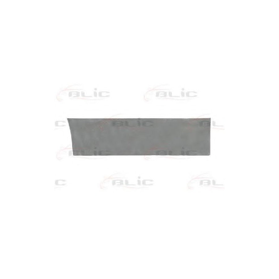 Blic 6015-00-1150121P Door, Body for Daewoo Lublin