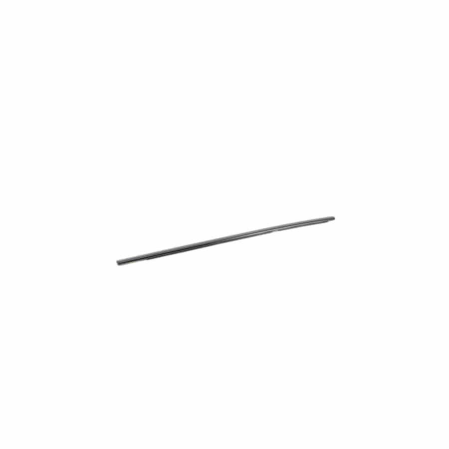 Genuine BMW 51357247798 F25 Window Well Strip, Outer, Door, Rear Rgt SW-HGL (Inc. X3)