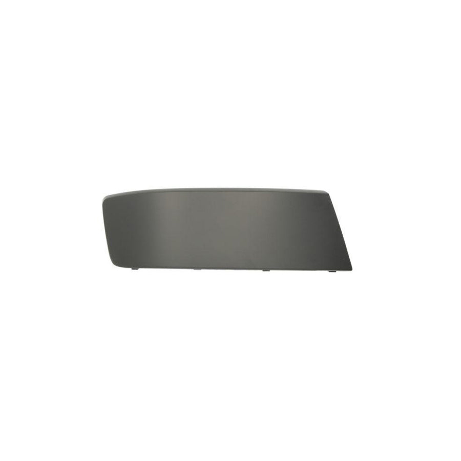 Blic 5510-00-9568926P Bumper Moulding