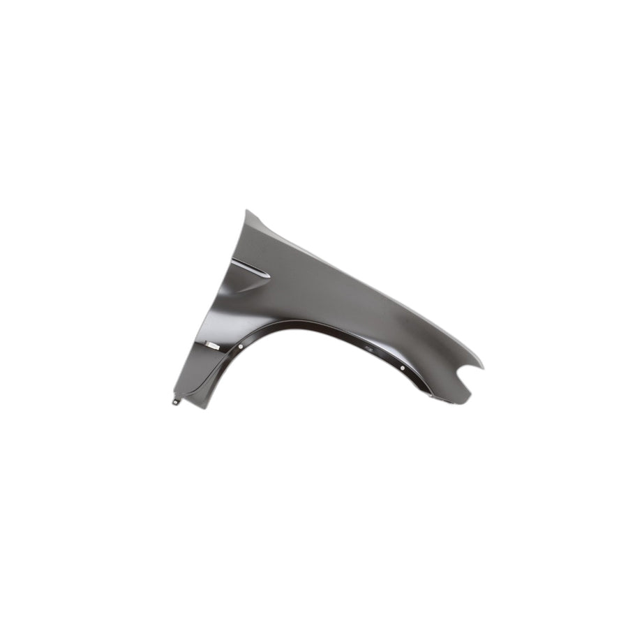 Genuine BMW 41357121008 E53 Side Panel, Front Right (Inc. X5)