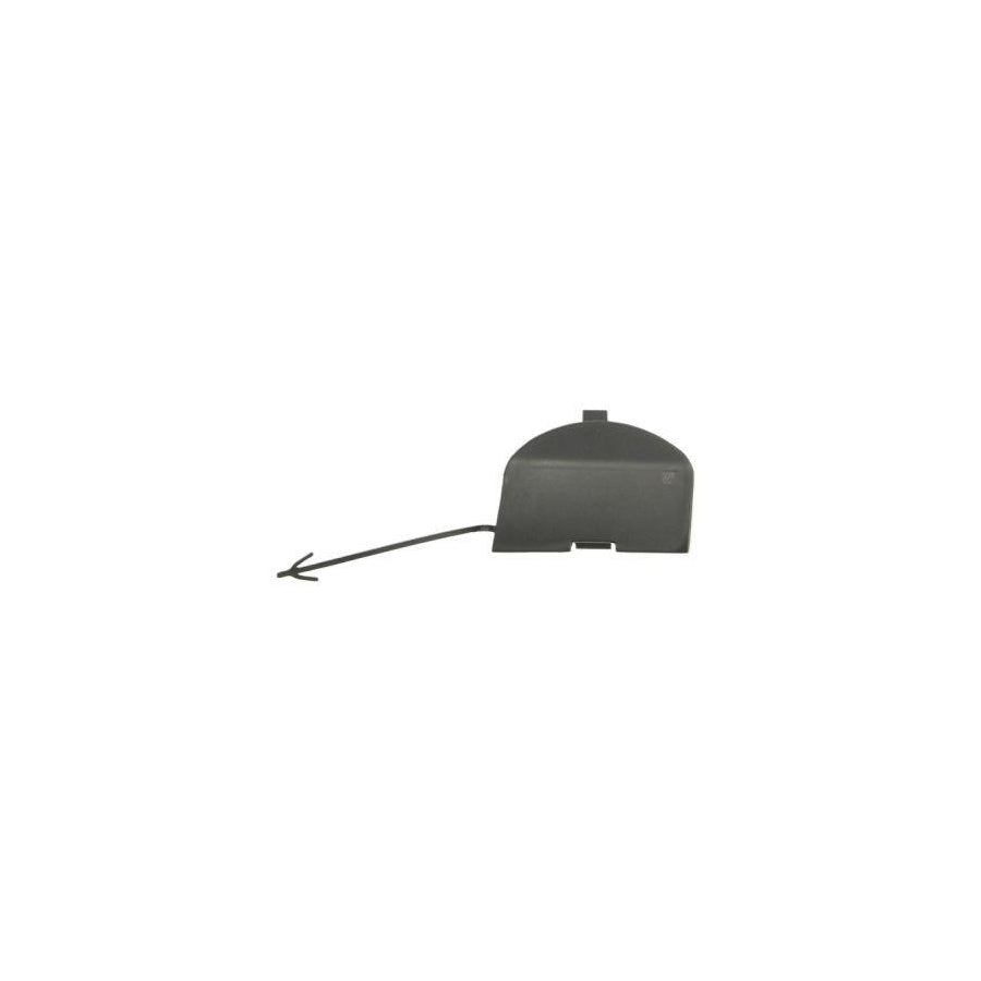 Blic 5513-00-2013920P Flap, Tow Hook