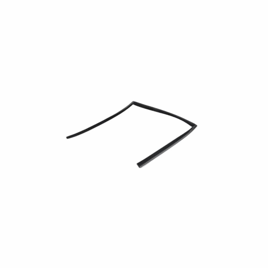 Genuine BMW 51357310318 E71 E72 Window Guide, Right Rear Door (Inc. X6)