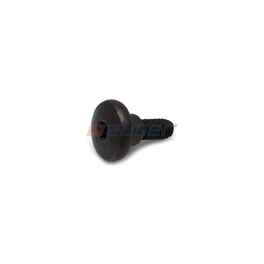 Auger 80220 Screw