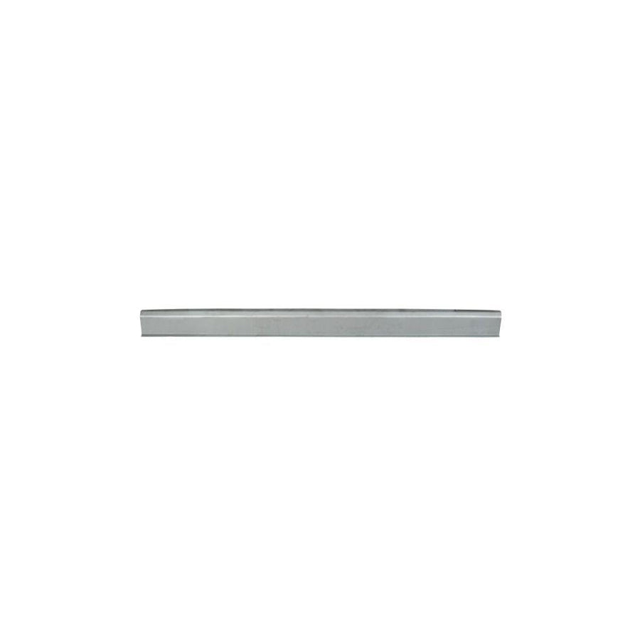 Blic 6601-01-6038803P Repair Panel For Renault Scénic I (Ja0/1, Fa0)