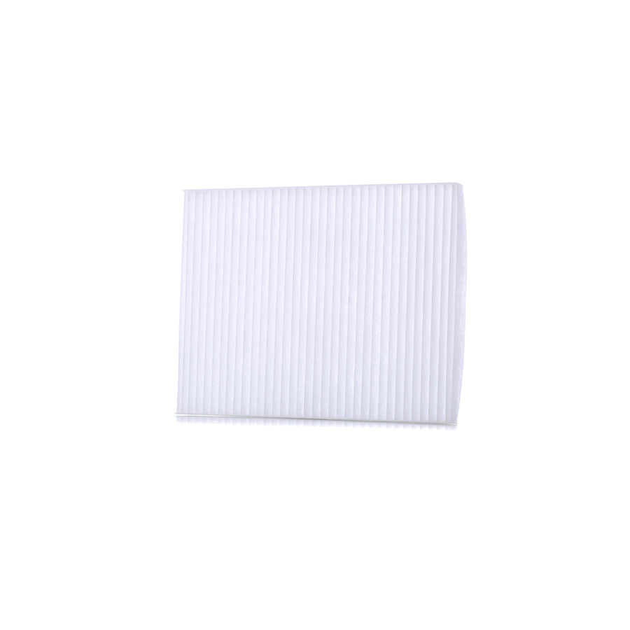 Master Sport 2436-IF-PCS-MS Pollen Filter