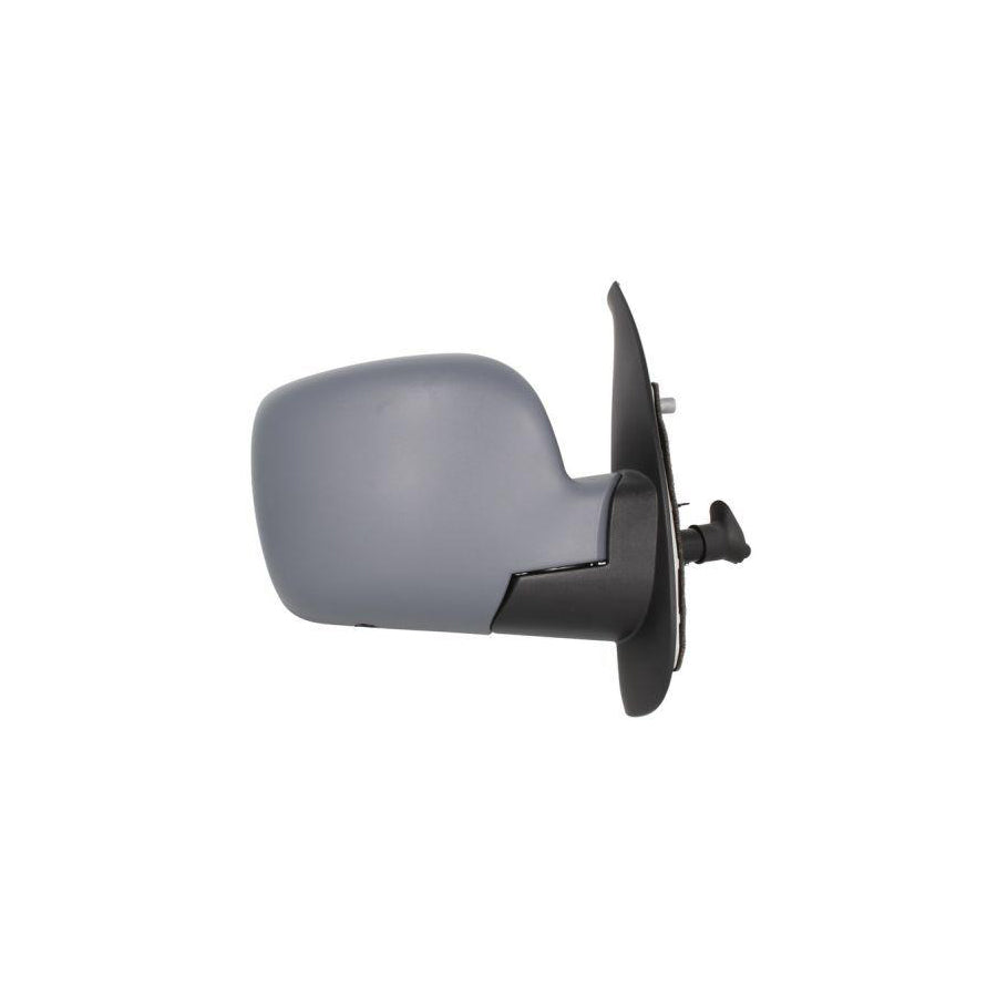 Blic 5402-04-1121560P Wing Mirror for Renault Kangoo