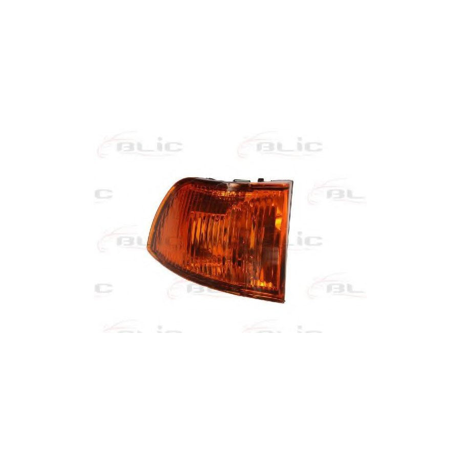 Blic 5403-30-003106P Side Indicator for Iveco Daily