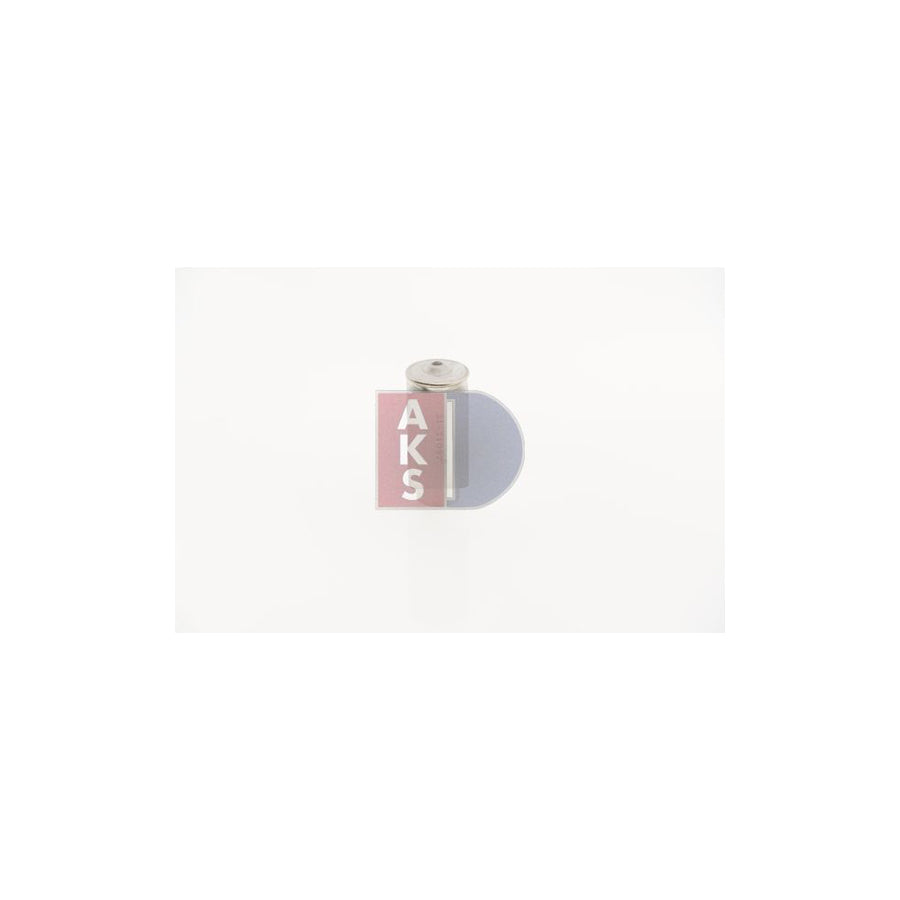 AKS Dasis 840700N AC Expansion Valve for BMW 3 Series