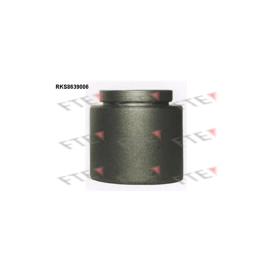 FTE Rks8639006 Piston, Brake Caliper