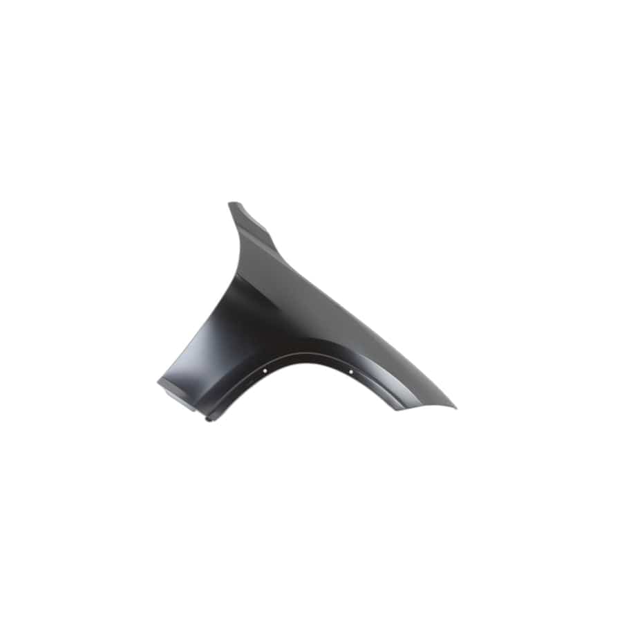 Genuine BMW 41627332424 E84 Side Panel, Front Right (Inc. X1 20dX, X1 20d ed & X1 16i)
