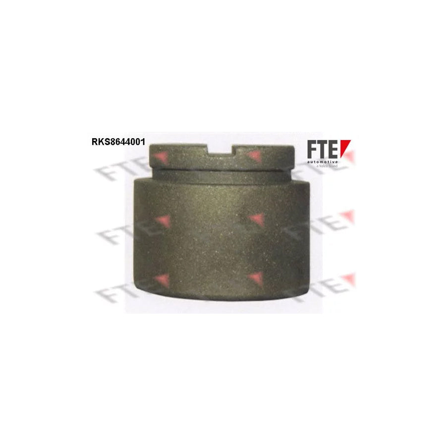 FTE Rks8644001 Piston, Brake Caliper