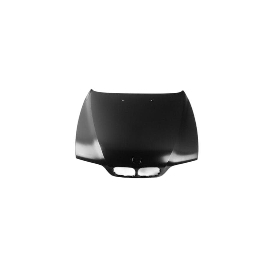 Genuine BMW 41618238592 E39 Hood (Inc. 540iP, 523i & 530i)